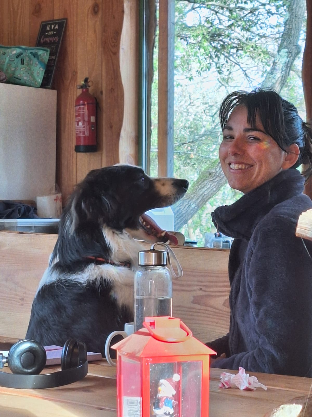 Vivalma - Comunicação Animal